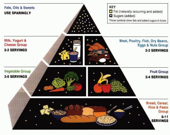 Qué es el plato de Harvard y por qué es mejor que la pirámide nutricional